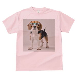 r[O TVc Y LbY t@  t  vg JWA 킢 lԗp h ̃fUC ʔ Kl r[O