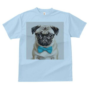 pO TVc fB[X t@  t  vg JWA 킢 lԗp h ̃fUC ʔ Kl pO lN^C