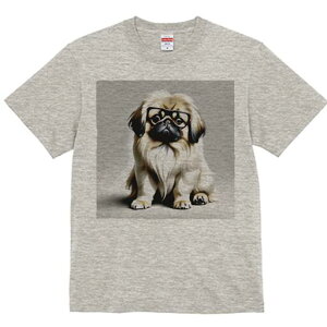 yLj[Y TVc fB[X t@  t  vg JWA 킢 lԗp h ̃fUC ʔ Kl yLj[Y