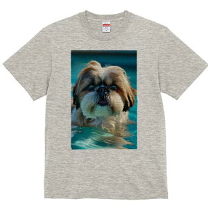 V[Y[ TVc fB[X t@  t  vg JWA 킢 lԗp h ̃fUC ʔ  V[Y[ v[