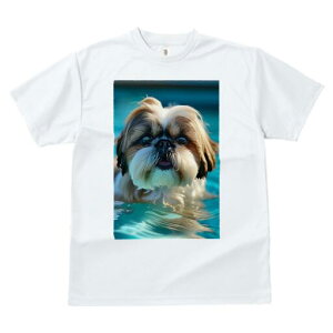 V[Y[ TVc fB[X t@  t  vg JWA 킢 lԗp h ̃fUC ʔ  V[Y[ v[