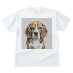 r[O TVc fB[X t@  t  vg JWA 킢 lԗp h ̃fUC ʔ Kl r[O