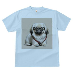 yLj[Y TVc fB[X t@  t  vg JWA 킢 lԗp h ̃fUC ʔ Kl yLj[Y