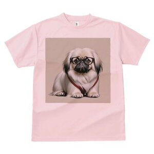 yLj[Y TVc fB[X t@  t  vg JWA 킢 lԗp h ̃fUC ʔ Kl yLj[Y