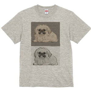 yLj[Y TVc fB[X t@  t  vg JWA 킢 lԗp h ̃fUC ʔ yLj[Y