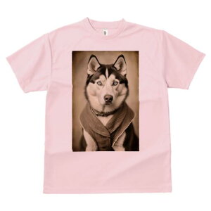 VxAnXL[ TVc fB[X t@  t  vg JWA 킢 lԗp h ̃fUC ʔ VxAnXL[