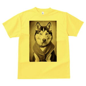 VxAnXL[ TVc fB[X t@  t  vg JWA 킢 lԗp h ̃fUC ʔ VxAnXL[