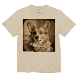 R[M[ TVc fB[X t@  t  vg JWA 킢 lԗp h ̃fUC ʔ `FbN R[M[ 