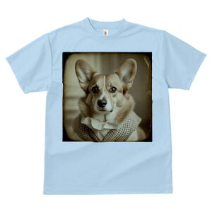 R[M[ TVc fB[X t@  t  vg JWA 킢 lԗp h ̃fUC ʔ `FbN R[M[ 