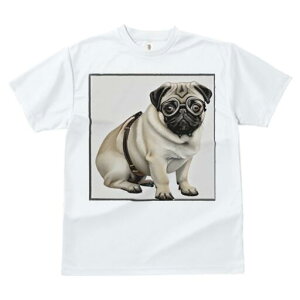 pO TVc fB[X t@  t  vg JWA 킢 lԗp h ̃fUC ʔ Kl pO n[lX