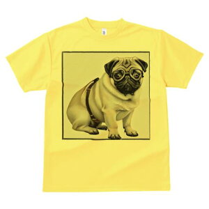 pO TVc fB[X t@  t  vg JWA 킢 lԗp h ̃fUC ʔ Kl pO n[lX