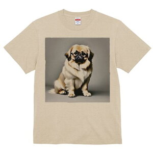 yLj[Y TVc fB[X t@  t  vg JWA 킢 lԗp h ̃fUC ʔ Kl yLj[Y