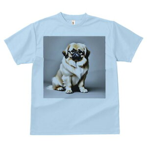 yLj[Y TVc fB[X t@  t  vg JWA 킢 lԗp h ̃fUC ʔ Kl yLj[Y