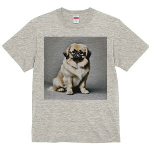 yLj[Y TVc fB[X t@  t  vg JWA 킢 lԗp h ̃fUC ʔ Kl yLj[Y