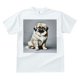 yLj[Y TVc fB[X t@  t  vg JWA 킢 lԗp h ̃fUC ʔ Kl yLj[Y