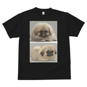 yLj[Y TVc fB[X t@  t  vg JWA 킢 lԗp h ̃fUC ʔ yLj[Y