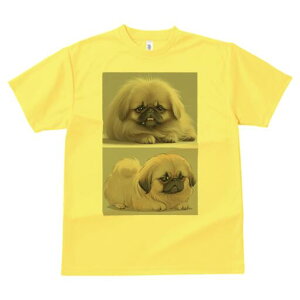 yLj[Y TVc fB[X t@  t  vg JWA 킢 lԗp h ̃fUC ʔ yLj[Y