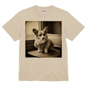 R[M[ TVc fB[X t@  t  vg JWA 킢 lԗp h ̃fUC ʔ Z[^[ R[M[ ֎q