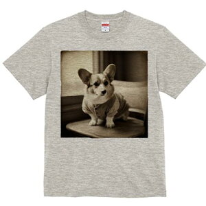 R[M[ TVc fB[X t@  t  vg JWA 킢 lԗp h ̃fUC ʔ Z[^[ R[M[ ֎q