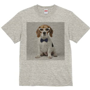 r[O TVc fB[X t@  t  vg JWA 킢 lԗp h ̃fUC ʔ Kl r[O lN^C