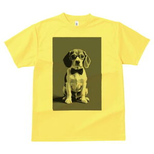 r[O TVc fB[X t@  t  vg JWA 킢 lԗp h ̃fUC ʔ Kl r[O lN^C