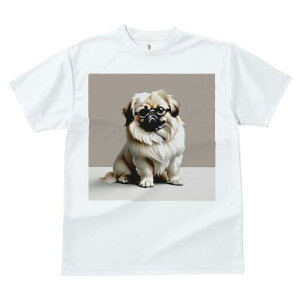 yLj[Y TVc fB[X t@  t  vg JWA 킢 lԗp h ̃fUC ʔ Kl yLj[Y