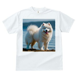 TGh TVc fB[X t@  t  vg JWA 킢 lԗp h ̃fUC ʔ wi TGh C  