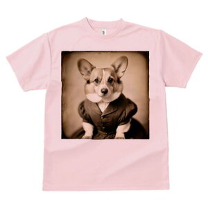 R[M[ TVc fB[X t@  t  vg JWA 킢 lԗp h ̃fUC ʔ g R[M[ Be[W 