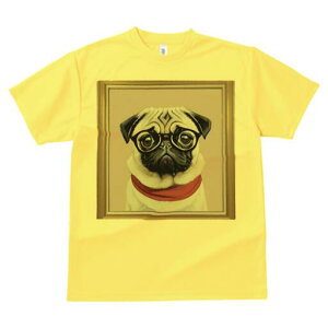 �p�O T�V���c ���f�B�[�X ���t�@�� ���� �t�� ���� �v�����g �J�W���A�� ���킢�� �l�ԗp ���h ���������̃f�U�C�� �ʔ� ���K�l �p�O �X�J�[�t �z��