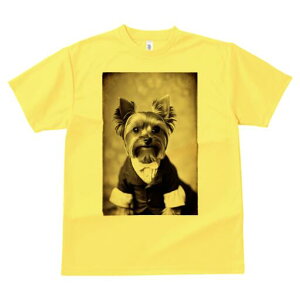 [NV[eA TVc fB[X t@  t  vg JWA 킢 lԗp h ̃fUC ʔ lN^C [NV[eA X[c