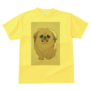 yLj[Y TVc fB[X t@  t  vg JWA 킢 lԗp h ̃fUC ʔ yLj[Y