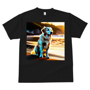 S[fgo[ TVc fB[X t@  t  vg JWA 킢 lԗp h ̃fUC ʔ r[` S[fgo[ [Ă C