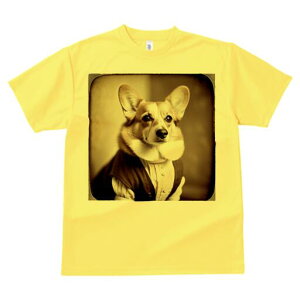 R[M[ TVc fB[X t@  t  vg JWA 킢 lԗp h ̃fUC ʔ g R[M[ Be[W 