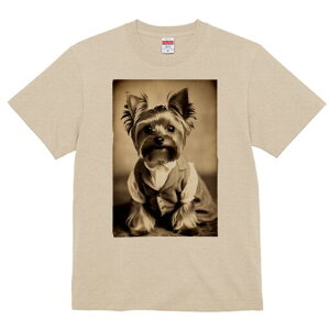 [NV[eA TVc fB[X t@  t  vg JWA 킢 lԗp h ̃fUC ʔ X[c [NV[eA lN^C