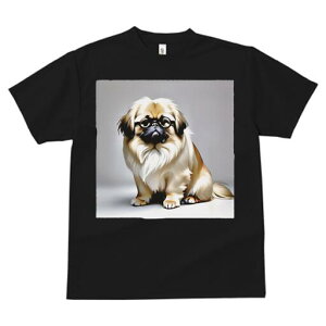 yLj[Y TVc fB[X t@  t  vg JWA 킢 lԗp h ̃fUC ʔ Kl yLj[Y