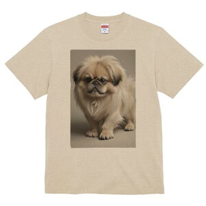 yLj[Y TVc fB[X t@  t  vg JWA 킢 lԗp h ̃fUC ʔ yLj[Y