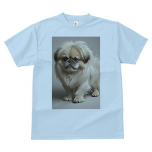 yLj[Y TVc fB[X t@  t  vg JWA 킢 lԗp h ̃fUC ʔ yLj[Y