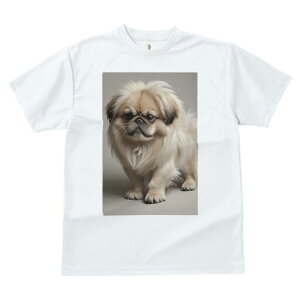 yLj[Y TVc fB[X t@  t  vg JWA 킢 lԗp h ̃fUC ʔ yLj[Y