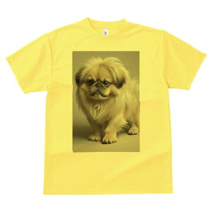 yLj[Y TVc fB[X t@  t  vg JWA 킢 lԗp h ̃fUC ʔ yLj[Y