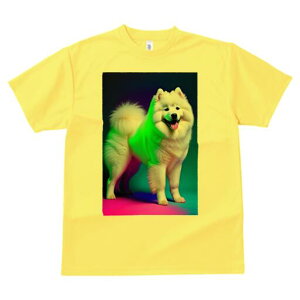 TGh TVc fB[X t@  t  vg JWA 킢 lԗp h ̃fUC ʔ TGh