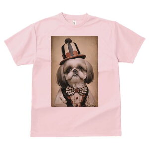 V[Y[ TVc fB[X t@  t  vg JWA 킢 lԗp h ̃fUC ʔ Xq V[Y[ lN^C xXg ߑ