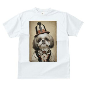 V[Y[ TVc fB[X t@  t  vg JWA 킢 lԗp h ̃fUC ʔ Xq V[Y[ lN^C xXg ߑ