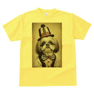 V[Y[ TVc fB[X t@  t  vg JWA 킢 lԗp h ̃fUC ʔ Xq V[Y[ lN^C xXg ߑ