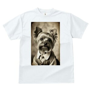 [NV[eA TVc fB[X t@  t  vg JWA 킢 lԗp h ̃fUC ʔ g [NV[eA Be[W 