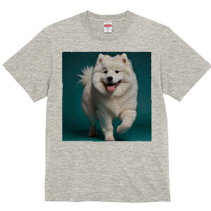 TGh TVc fB[X t@  t  vg JWA 킢 lԗp h ̃fUC ʔ TGh