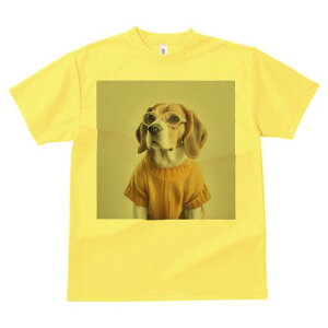 r[O TVc fB[X t@  t  vg JWA 킢 lԗp h ̃fUC ʔ Z[^[ r[O ዾ