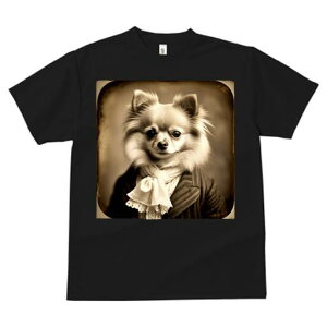 ` TVc fB[X t@  t  vg JWA 킢 lԗp h ̃fUC ʔ X[c ` XJ[t [X