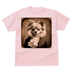 ` TVc fB[X t@  t  vg JWA 킢 lԗp h ̃fUC ʔ X[c ` XJ[t [X