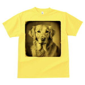 S[fgo[ TVc fB[X t@  t  vg JWA 킢 lԗp h ̃fUC ʔ g S[fgo[