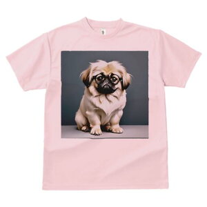 yLj[Y TVc fB[X t@  t  vg JWA 킢 lԗp h ̃fUC ʔ Kl yLj[Y